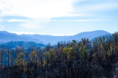 Great-Smoky-Mountains-05