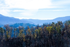 Great-Smoky-Mountains-06