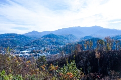 Great-Smoky-Mountains-11