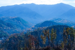 Great-Smoky-Mountains-19