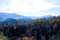 Great-Smoky-Mountains-23