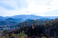 Great-Smoky-Mountains-24