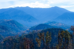 Great-Smoky-Mountains-25