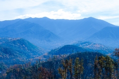 Great-Smoky-Mountains-26