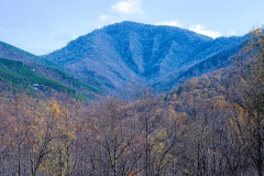 Great-Smoky-Mountains-27