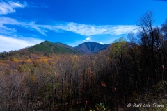 Great-Smoky-Mountains-28