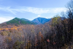 Great-Smoky-Mountains-29