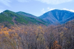 Great-Smoky-Mountains-31