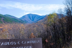 Great-Smoky-Mountains-33