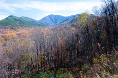 Great-Smoky-Mountains-34