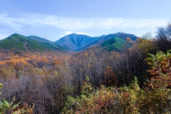 Great-Smoky-Mountains-35