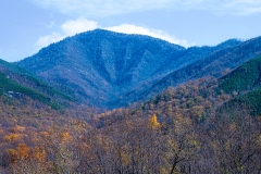 Great-Smoky-Mountains-36