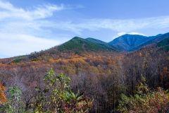 Great-Smoky-Mountains-38