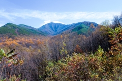 Great-Smoky-Mountains-39