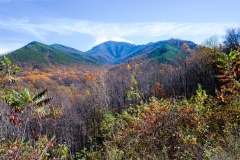 Great-Smoky-Mountains-40