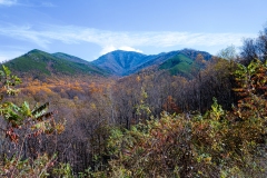 Great-Smoky-Mountains-41