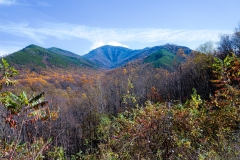 Great-Smoky-Mountains-42