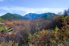 Great-Smoky-Mountains-43