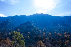 Great-Smoky-Mountains-50