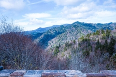 Great-Smoky-Mountains-63