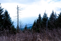 Great-Smoky-Mountains-70