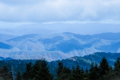 Great-Smoky-Mountains-77