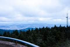 Great-Smoky-Mountains-78