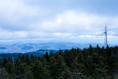 Great-Smoky-Mountains-79